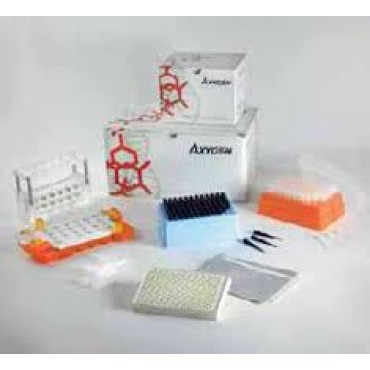 AM-2ML-RD Axygen® AxyMats™ 96 Round Well Sealing Mat for Deep Well